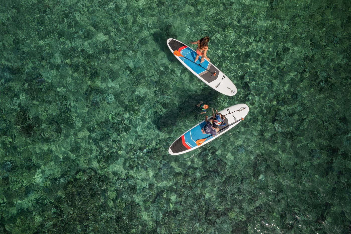 Kayak & Paddle